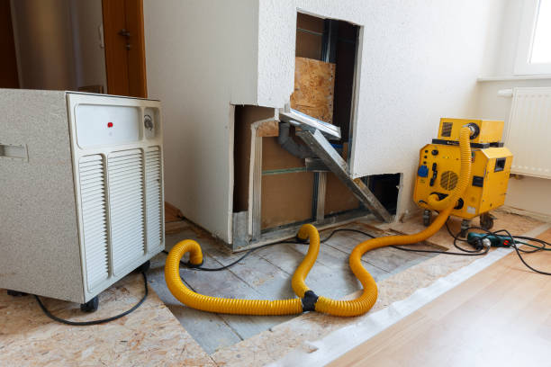 Best Dehumidification Services  in Trinity, NC
